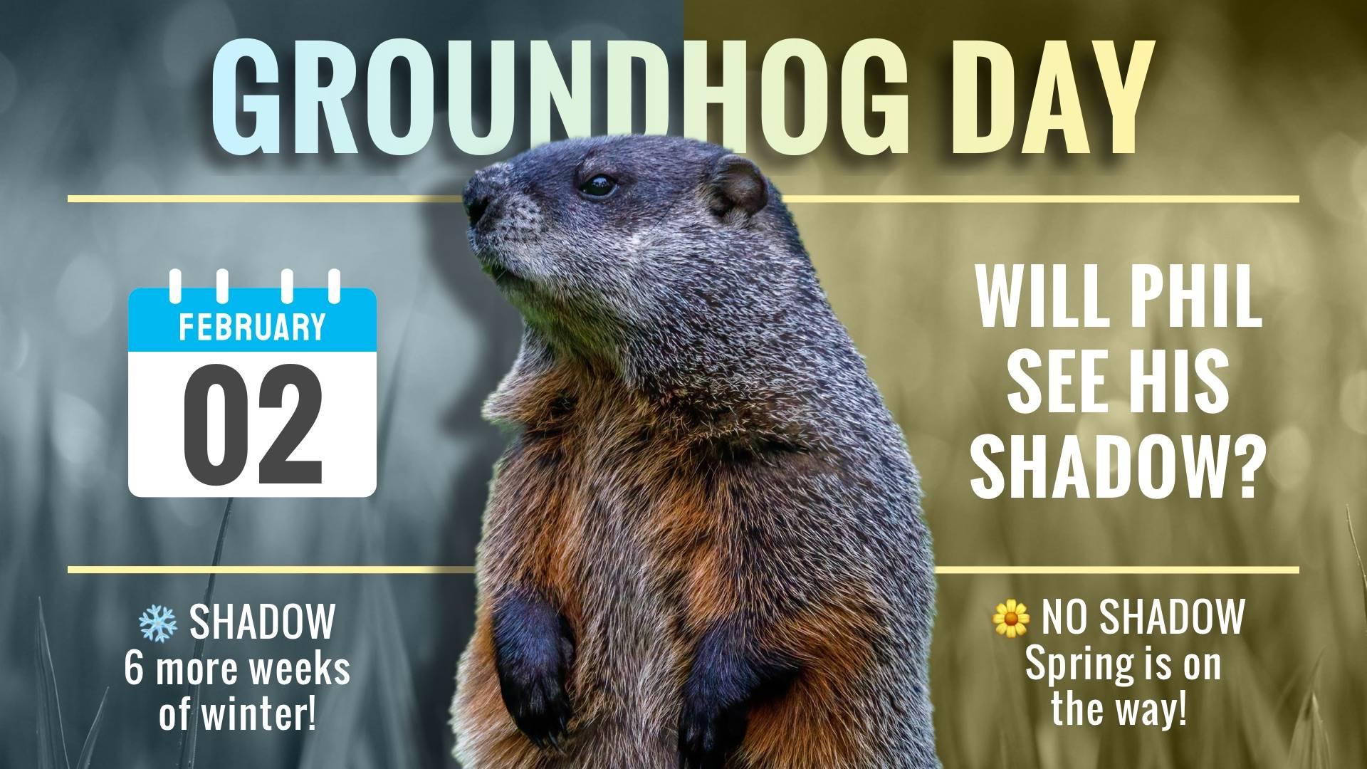 Groundhog Day Digital Signage Template