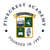 Pinecrest Academy logo