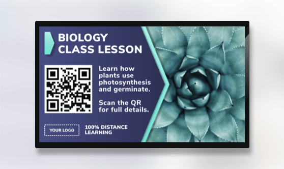 Distance Learning Lesson